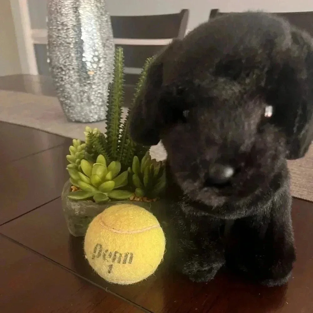 Child’s Black Puppy Plush